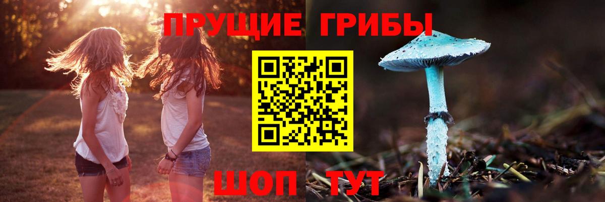 Галлюциногенные грибы MAGIC MUSHROOMS  Вход с VPN  Ялуторовск 